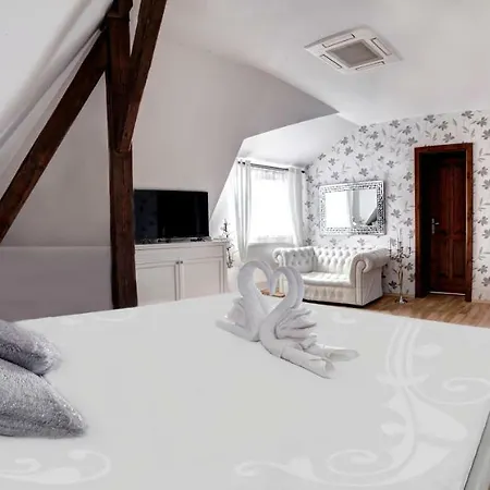 Tillerova בית הארחה Lázně Bohdaneč